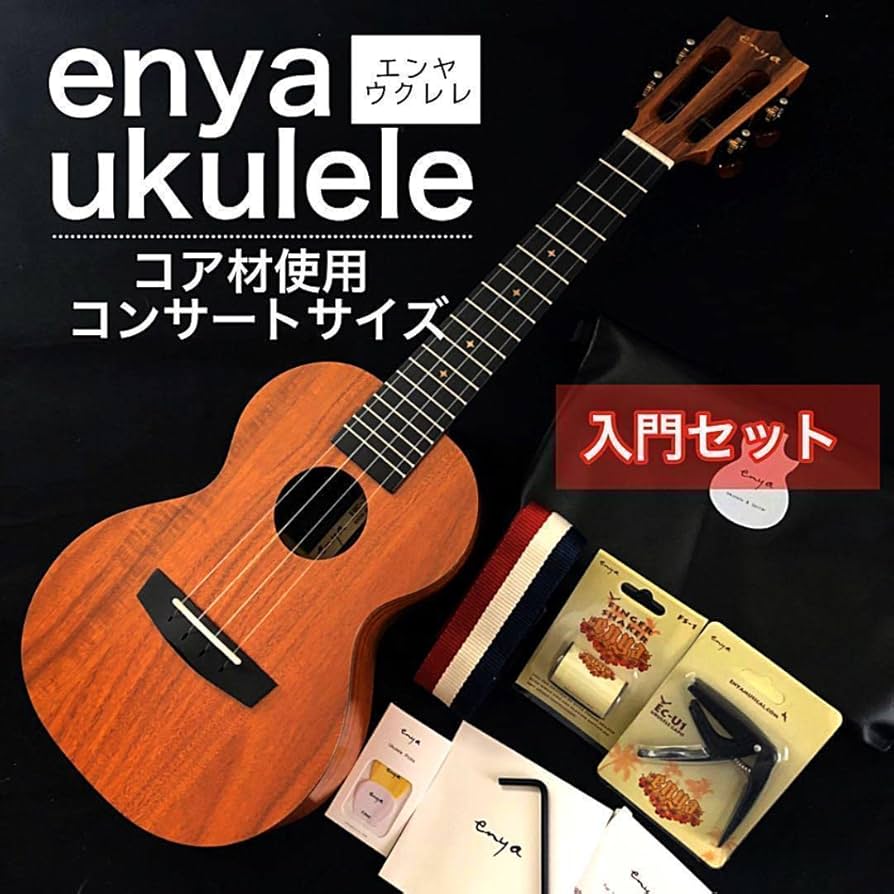 enya】国内未発売モデル・コア材・コンサートウクレレ【セット付